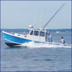 Bluefin Charters - Falmouth, Cape Cod