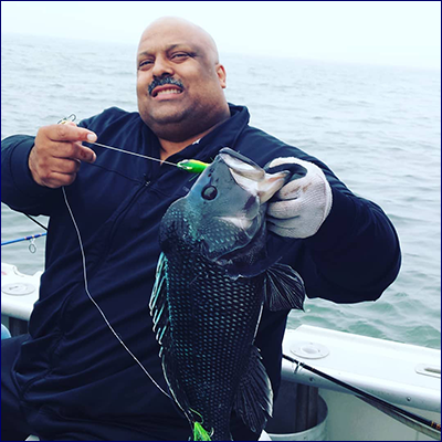 Nice sea bass with Bluefin Charters